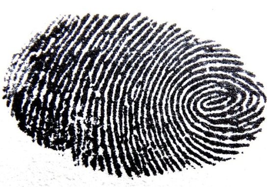 Meizu M6s: with side fingerprint sensor