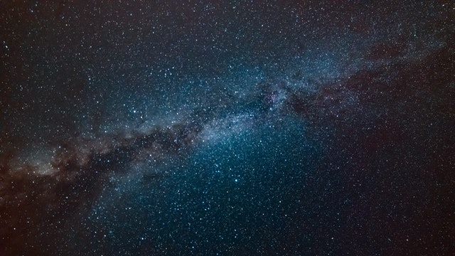 Caenorhabditis elegans in space