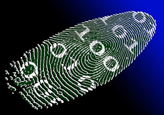 Digital ID, the e-wallet of the future