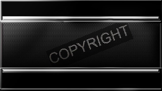 Internet copyright law