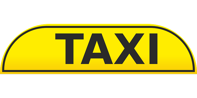 Driverless robot taxis