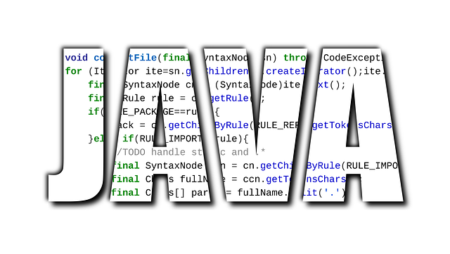 TECHDAY 1 February 1991 Java is beginning to form