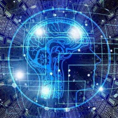Brain preservation